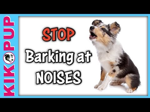 STOP UNWANTED behaviors with BACK UP