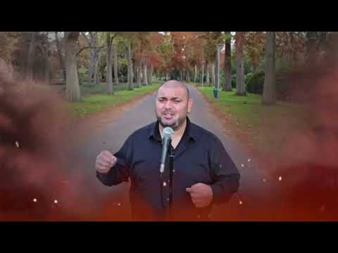 MECHO MENTATA - NOSTALGIYA/ МЕЧО МЕНТАТА - НОСТАЛГИЯ   2026 