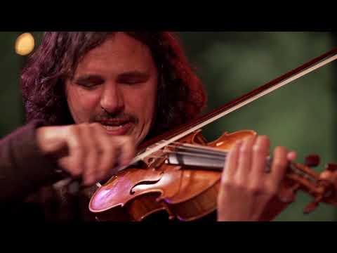 Tcha Limberger Trio - ‘Dui dui’ (live @Music Meeting 2021 Nijmegen)