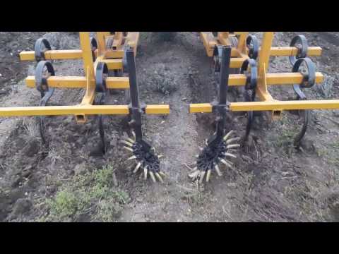 bg. K.U.L.T. lavada,лавандула 2