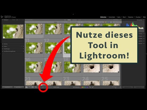 Die Sprühdose in Lightroom Classic - ein super Tool, das niemand kennt