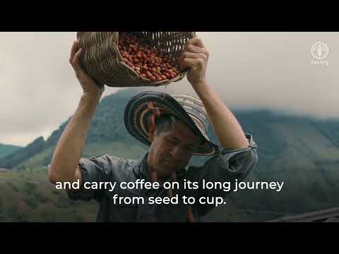 Behind Every Cup of Coffee | International Coffee Day 1 October