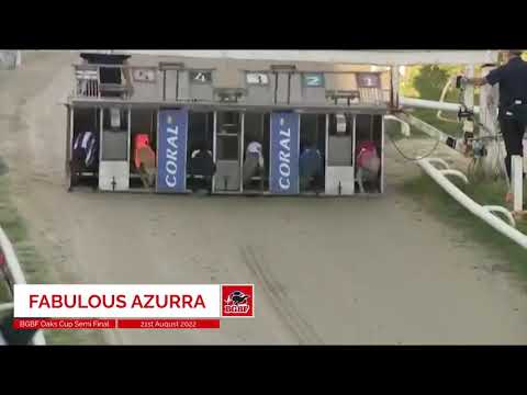 Fabulous Azurra - BGBF OAKS CUP 1ST SEMI FINAL