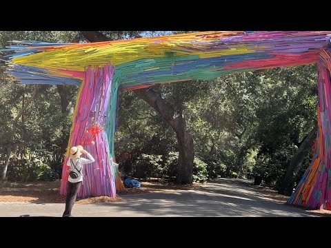 (UN) Natural Garden, intriguing, Fascinating,Multi Sensory- Interactive Art Exhibit, Los Angeles 🪴