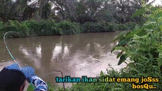 Download lagu Mancing zidat, di sungai antokan @bumi Minang channel mp3