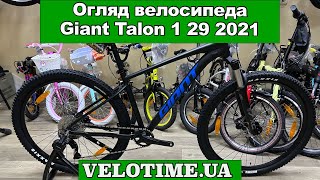 Giant Talon 1 29 2021 / рама 44см desert sage (2101105425) - відео 1