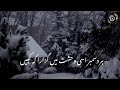 Har December 😔| Sahibzad waqar | Very Deep lines status | Sad Poetry | Sad status