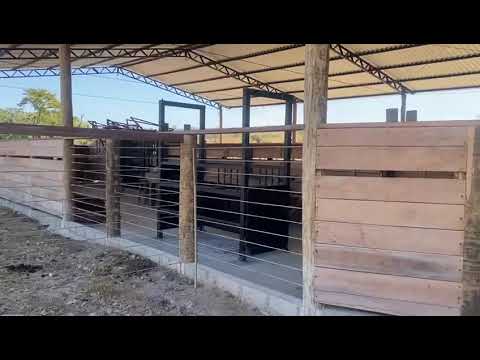 Fazenda Morro Agudo 7