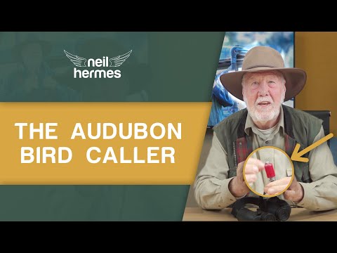 The Audubon Bird Caller - a cool gadget to help with your birdwatching! 🐦 👀