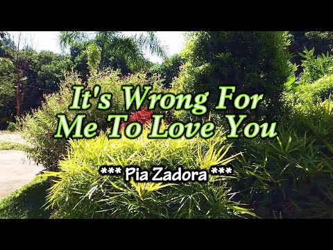 It's Wrong For Me To Love You - KARAOKE VERSION - as popularized by Pia Zadora