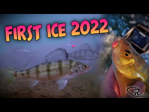 FIRST ICE Perch Fishing 2022 in Saskatchewan! (Underwater Footage)