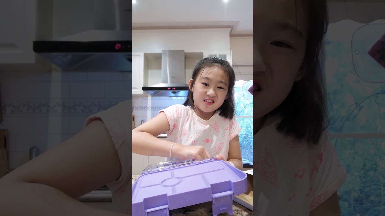 Penny Scallan Bento Lunch Box