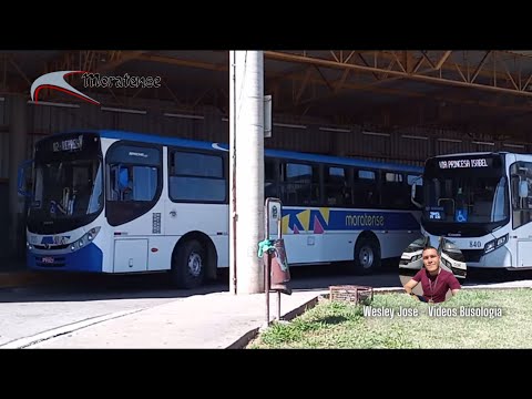 Moratense 700 - Apache VIP II sc - MB OF-1722M