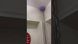 Neighbours Downstairs - The Crystal Room (2018) video