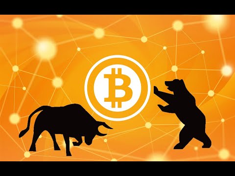 Bitcoin grynųjų pinigų programa