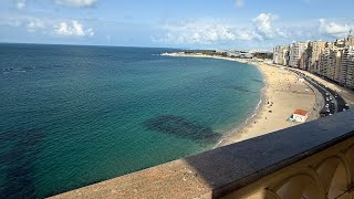 فيديو الشقة