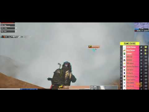 NAVI Esports. PMGC 2020 Day 1 Game 6.   #navi #PMGC2020 #chickendinner