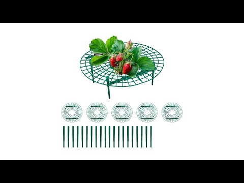 Lot de 6 grilles pour fraisiers Vert - Matière plastique - 30 x 10 x 30 cm