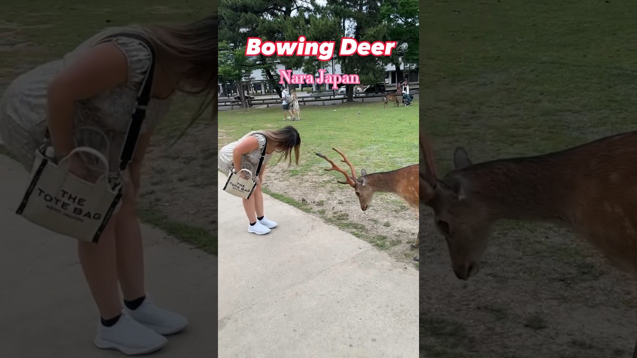 YouTube Short thumbnail