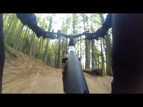 Cab. Gura Diham-Cab. Diham-Pichetul Rosu-Poiana Izvoarelor-Valea Cerbului (9.10.2016))