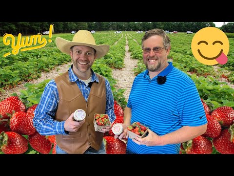 Two men smile in a strawberry field, one in a straw hat and leather vest, the other in a blue striped polo, holding strawberry containers and a jar of jam.