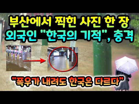 "한국의 기적" 부산 폭우 이후 찍힌 사진을 본 외국인이 "깜짝 놀란 이유"