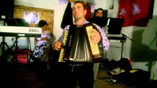 Formatia Ionica Band Jijila - ferice de cine poate