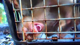 Oh no stop please Dawn Gina friends feels not well Dawn just love stay with sorry but I wait Yat too