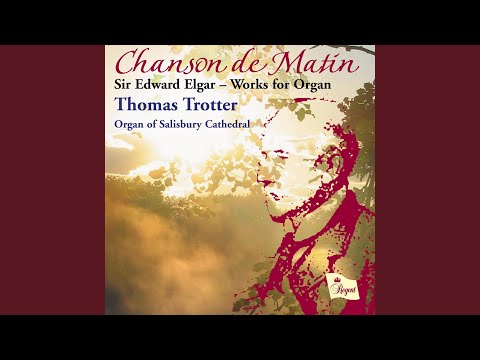 Organ Sonata No. 2, Op. 87a: I. Introduction