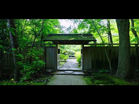 【寒川神社】神嶽山神苑について【公式】