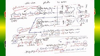 صورة 92 √ المثنى