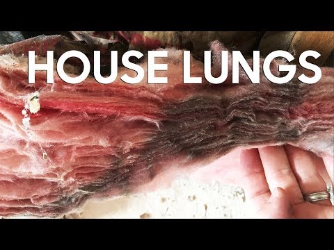 “Houses need to BREATHE!” - Shut your filthy mouth