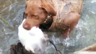 True Waterfowl Champions!