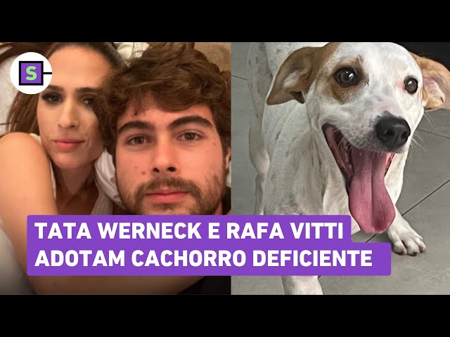 Rafa Vitti e Tata Werneck adotam cachorro com deficiência sem perna