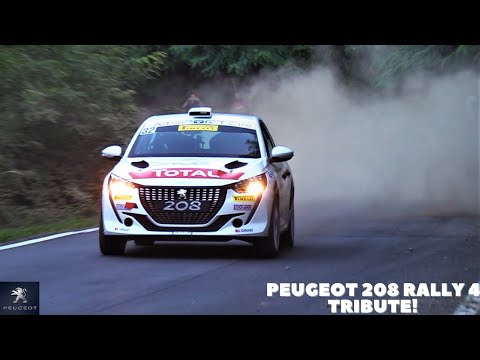 PEUGEOT 208 RALLY 4 TRIBUTE | 3 CYLINDERS 1.2 TURBO RALLY SOUND! [HD]