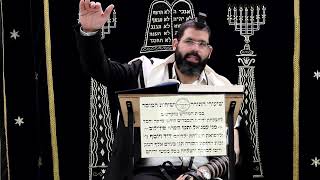 זבחים דף ג' ע''א ¤ הרב נתנאל אברז'ל ¤ בית הכנסת "בית מרדכי" (מוסדות תורת דוד) - התמונה מוצגת ישירות מתוך אתר האינטרנט יוטיוב. זכויות היוצרים בתמונה שייכות ליוצרה. קישור קרדיט למקור התוכן נמצא בתוך דף הסרטון