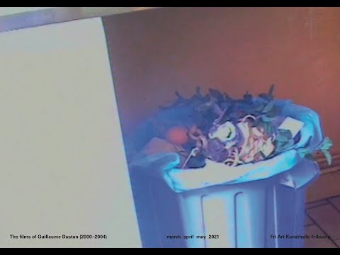 Extrait: PinkTV in bed with Guillaume Dustan 1999