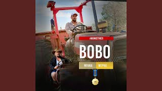 Download lagu ZIQHENYE NGOBUHLANGA BAKHO mp3