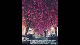 قران كريم بصوت للقارئ صلاح الباجي بصوت جميل جدا