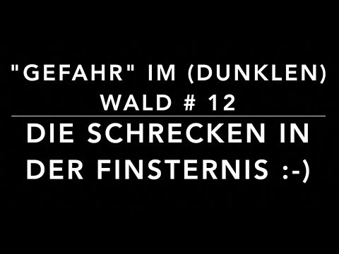 Angst im dunklen Wald? - "Gefahr" im Wald #12