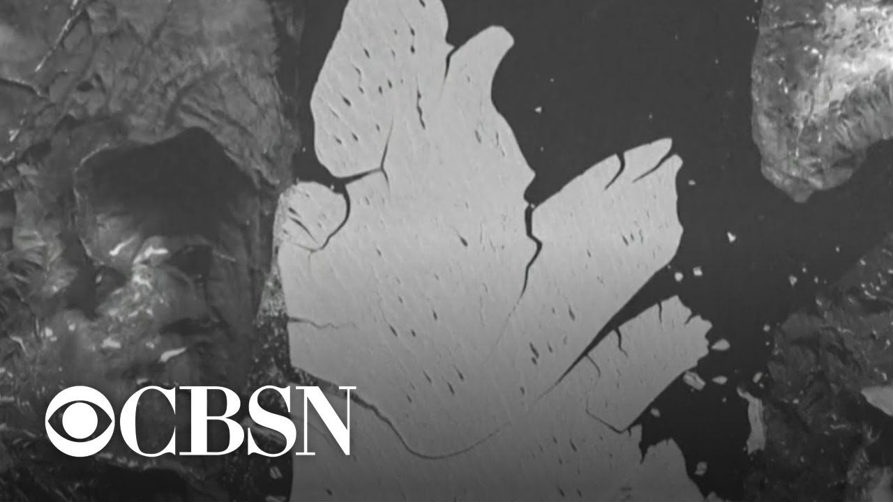 youtube video id=CIfVjQLwlfA