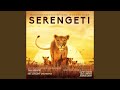 Serengeti Theme