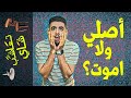 تعاشب شاي 351 أصلي ولا اموت