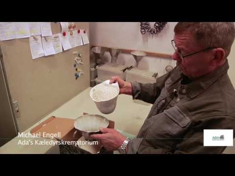 5 - Sådan foregår kremeringen af kæledyr