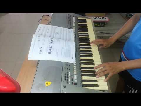 Petite Abeille Bourdonne - Organ - Phương Pháp Keyboard 1.