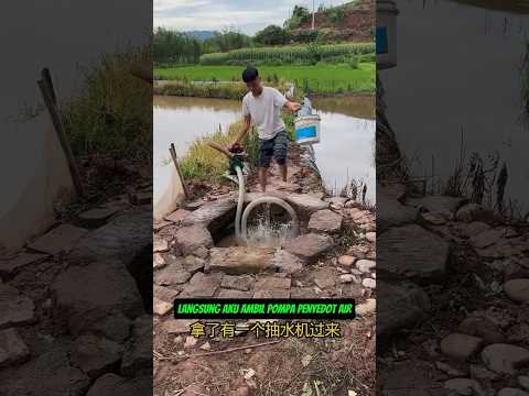 ikan mati di sumur tua