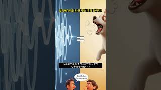 엘리베이터만 타면 짖는 우리 강아지?