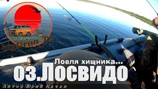 Рыбалка в витебской области озеро лосвидо
