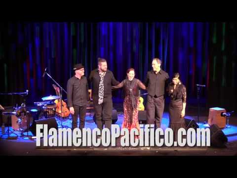 Flamenco Pacifico EPK 2018