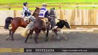 preview picture of video '634 FESTEJADA Criadero Santa Toñita y Doña Josefa'